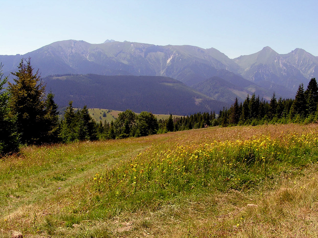 Malá Franková (4).JPG