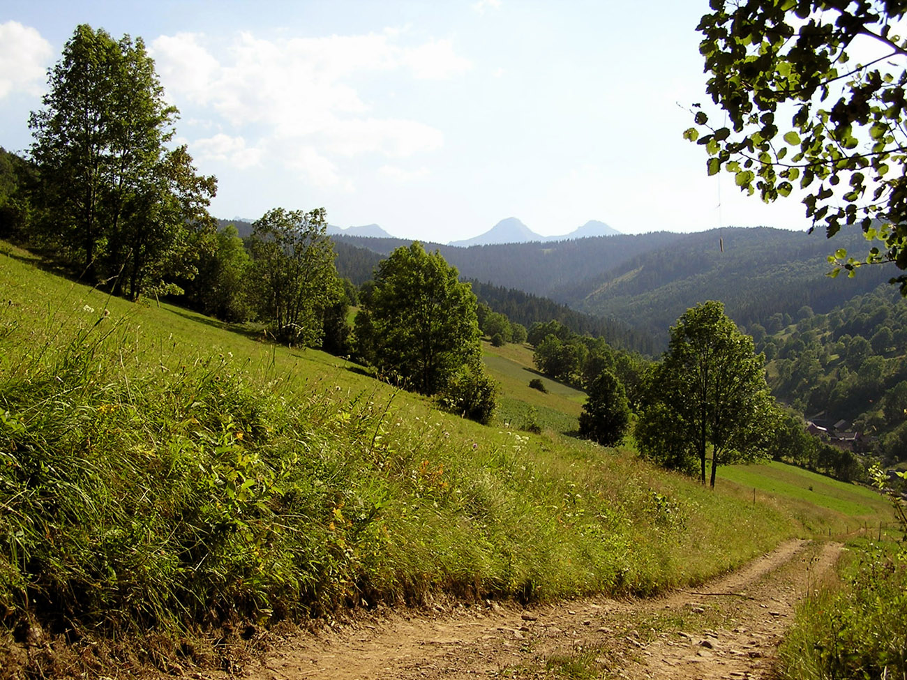 Malá Franková (14).JPG